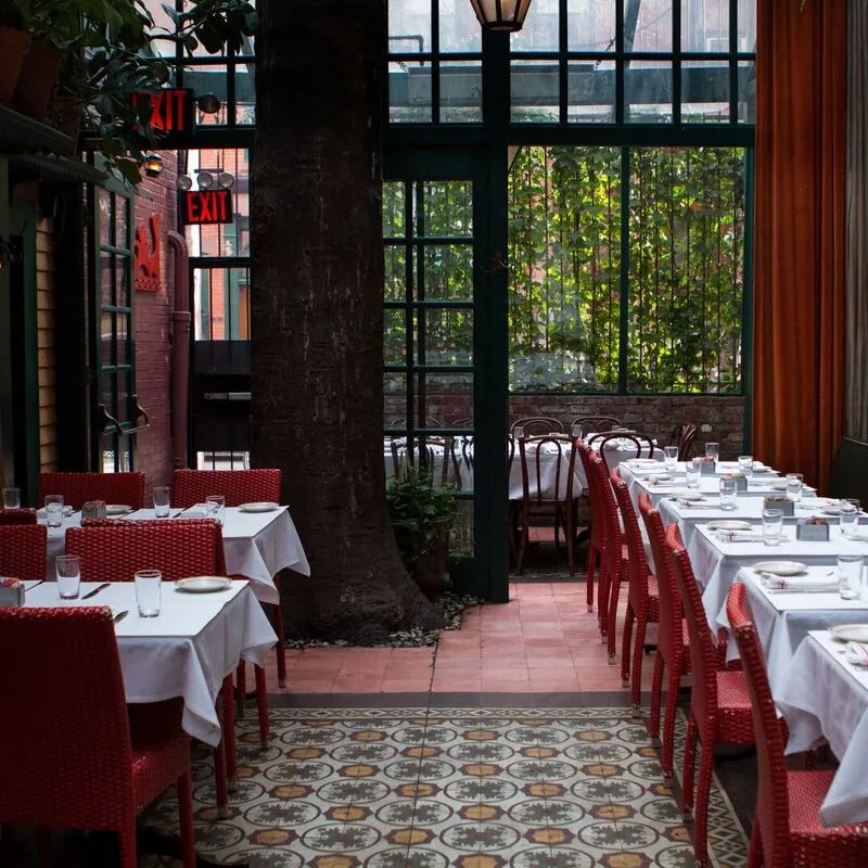 The enclosed garden at The Waverly Inn, with a tree and red woven chairs